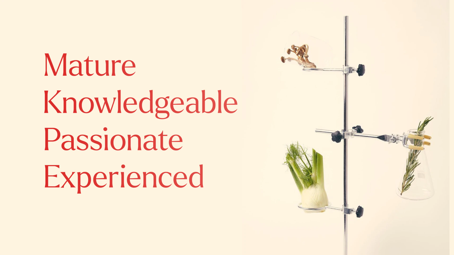 Crafting Signature Experiences